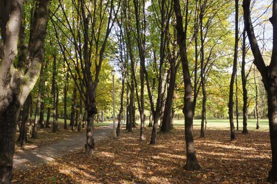 Park Lotników Polskich